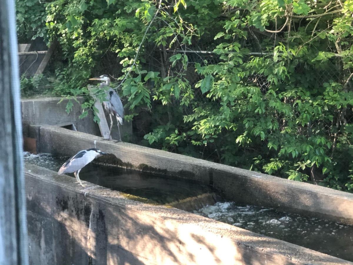 Herring Run Bourne Luaran gambar
