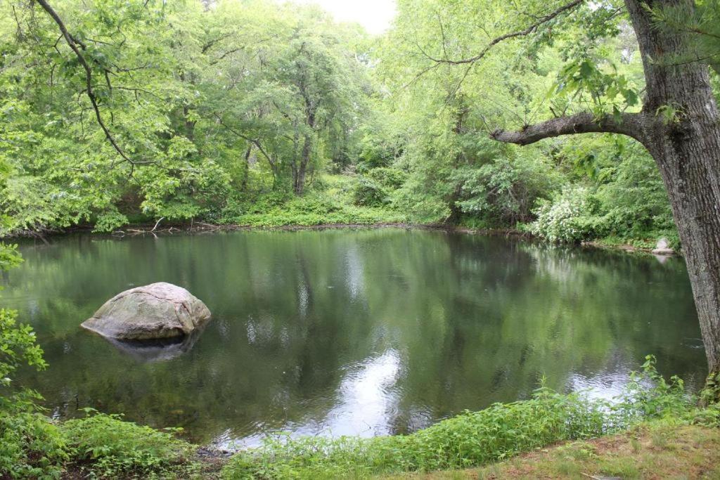 Herring Run Bourne Luaran gambar