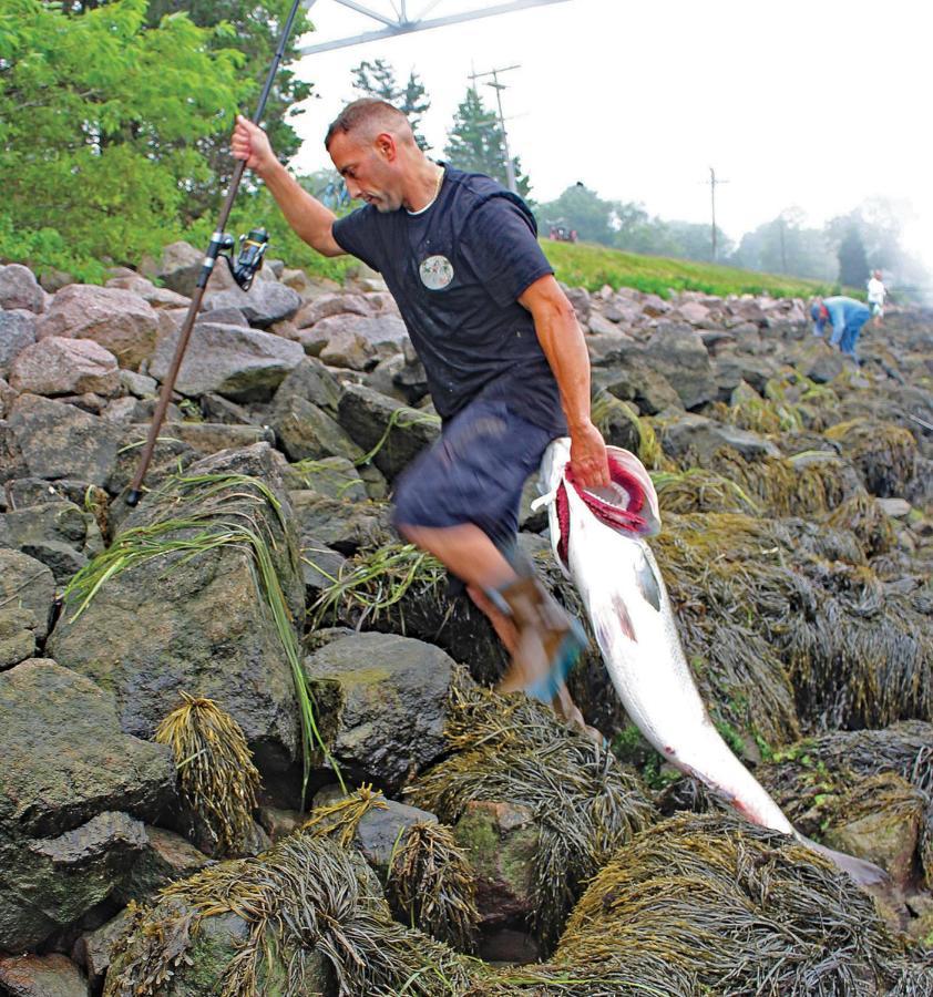 Herring Run Bourne Luaran gambar