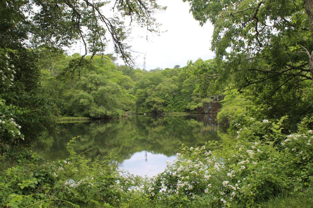 Herring Run Bourne Luaran gambar