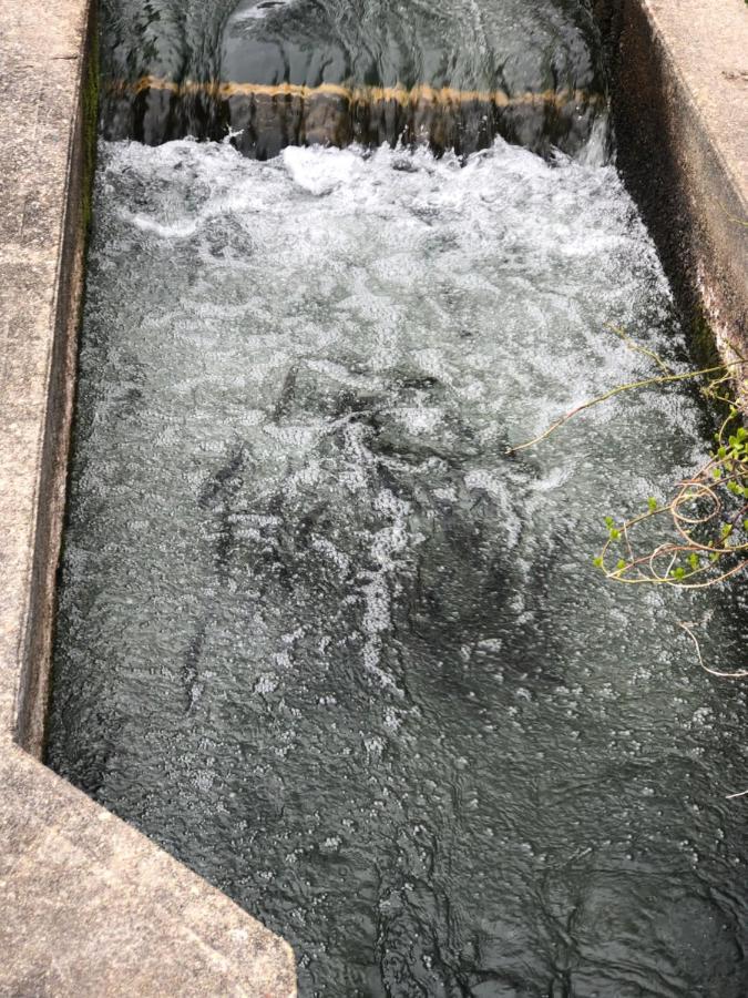 Herring Run Bourne Luaran gambar